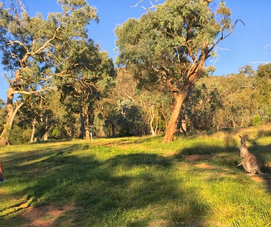Got The Outdoors? You Got a Gym!