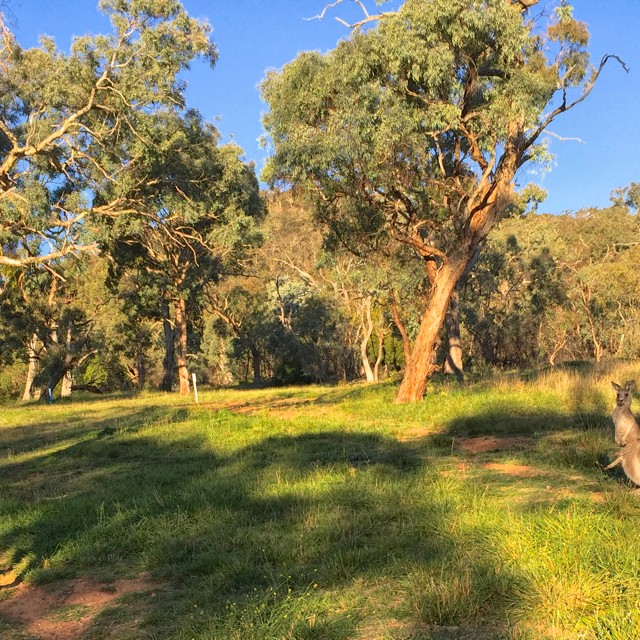 Got The Outdoors? You Got a Gym!