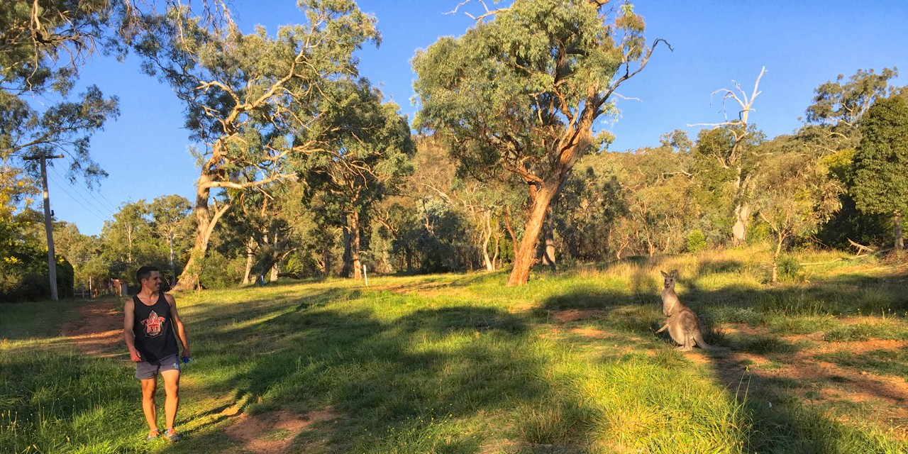 outside-trees-green-grass-kyle-williams