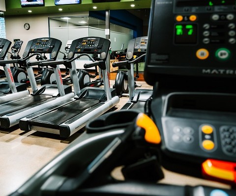 Will we burn more fat in the "fat-burning zone?" - Find out at Bulk Nutrients