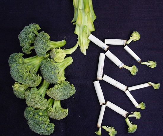 Eating healthy food Vs Smoking Photo by Sara Bakhshi on Unsplash