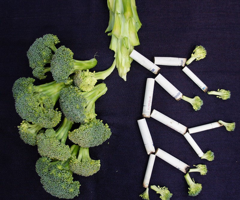 Eating healthy food Vs Smoking Photo by Sara Bakhshi on Unsplash