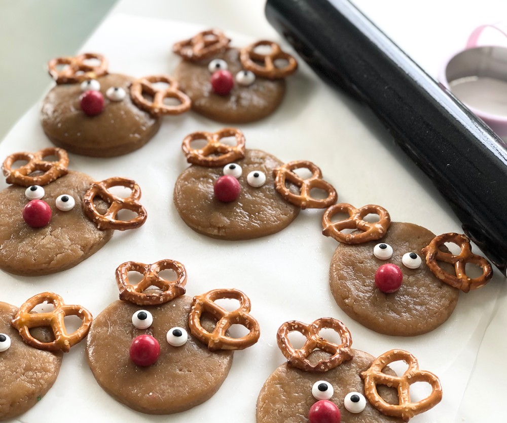 No-Bake Gingerbread Reindeer | Bulk Nutrients Recipes
