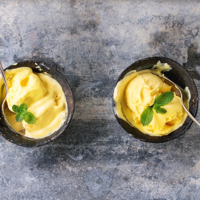 Sam's Aussie Vegan Ice Cream recipe from Bulk Nutrients