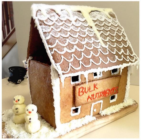 Protein Gingerbread House recipe from Bulk Nutrients 
