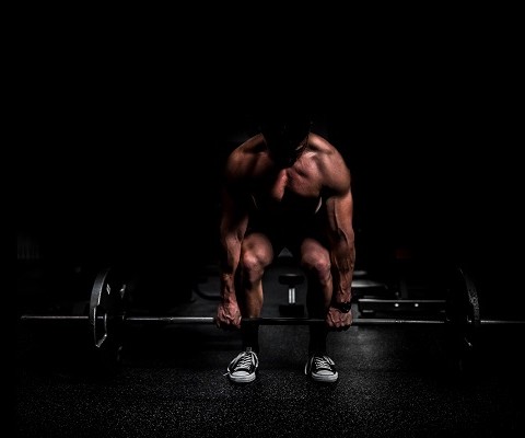 What muscles do the deadlift actually work? | Bulk Nutrients blog