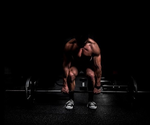What muscles do the deadlift actually work? | Bulk Nutrients blog