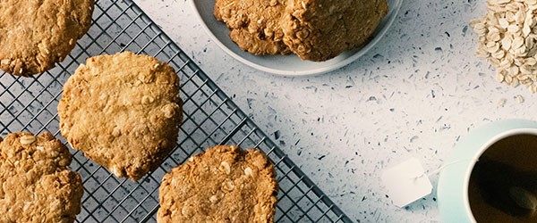 Bulk Nutrients Plant-based Recipe eBook