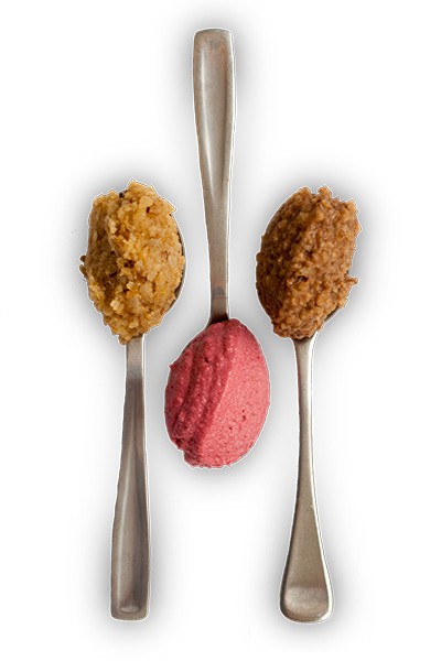 Protein Nut Spreads recipe from Bulk Nutrients
