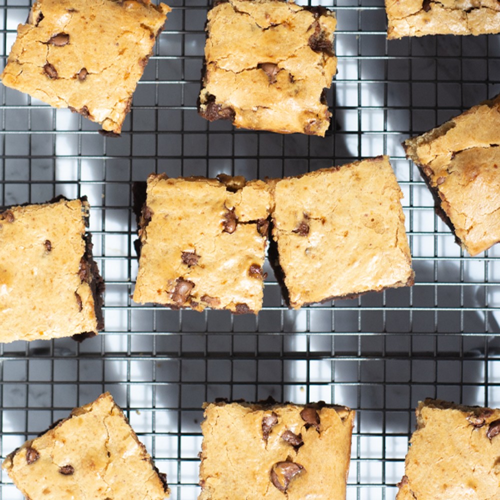 Double Choc Chip Protein Brownies | Bulk Nutrients Recipe