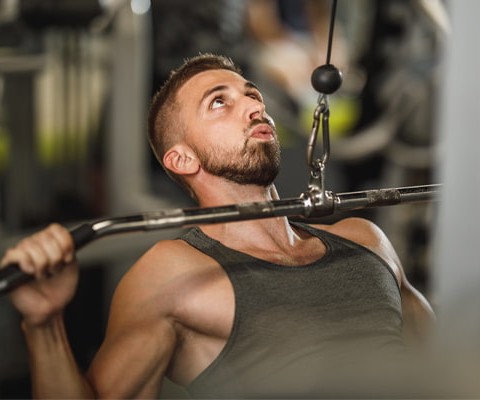 The best exercises for a thick back | Bulk Nutrients blog