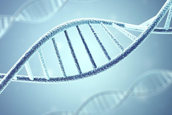 Genetics play a large role in how much weight you gain.