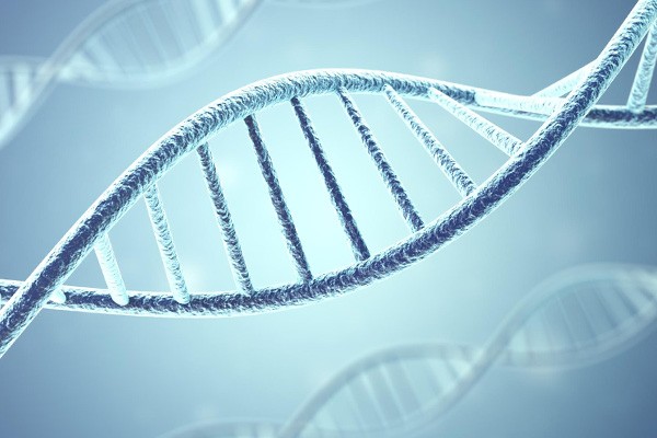 Double helix/gene sequence