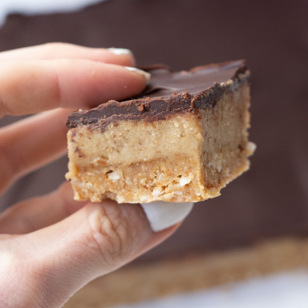 Tasty Choc Caramel Oat Slice | Bulk Nutrients Recipes