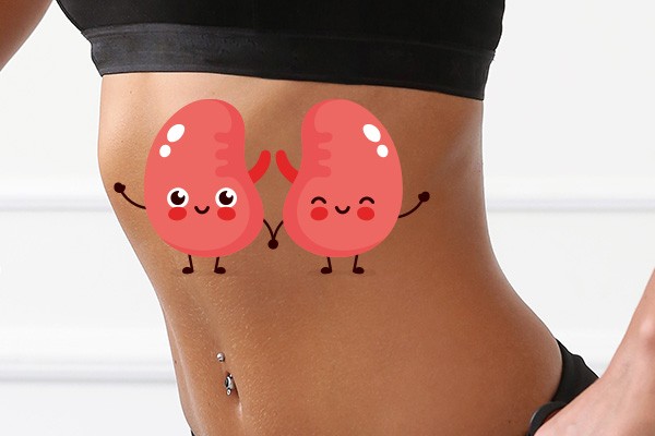 Healthy kidneys