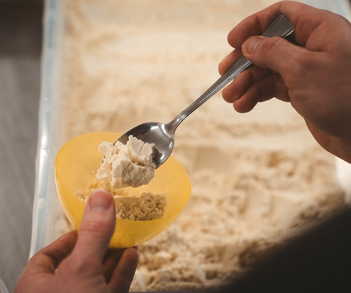 Everything You've Wanted to Know About Our Protein!