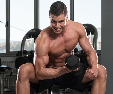 Biceps Dumbbell Concentration Curls