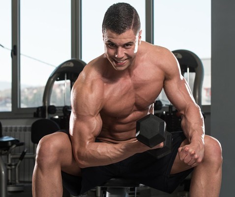 Biceps Dumbbell Concentration Curls