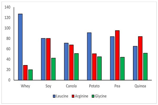 Leucine, Arginine, and Glycine levels in Whey, Soy, Canola, Potato, Pea, and Quinoa.
