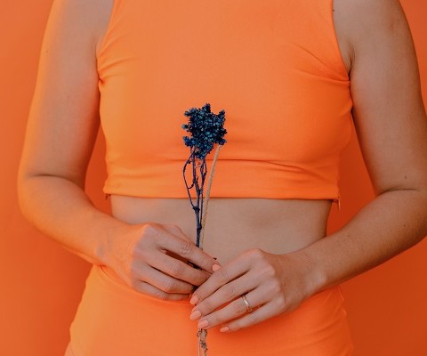 What is gut health and how do I improve it? | Bulk Nutrients blog