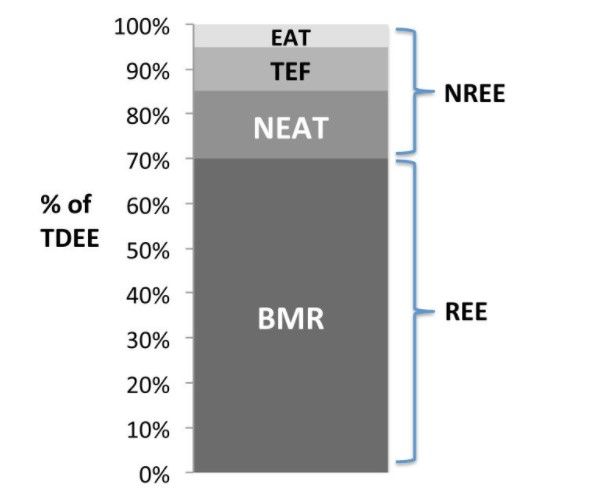 Graph adapted from Maclean et al., 2011