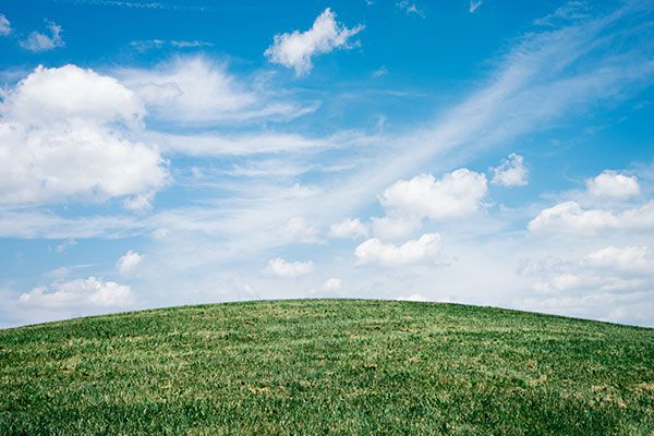 Here you go, take a big mouthful of this! I cooked it fresh!