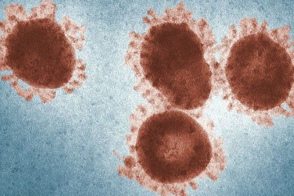 The role of the immune system is to protect you from infections.