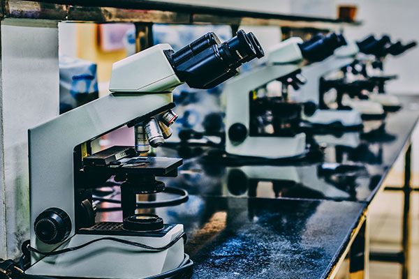 Science say… sugar is not addictive!