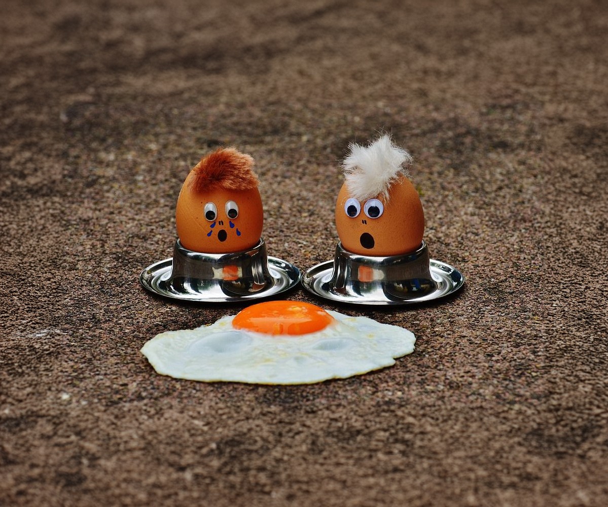 What's The Deal With Egg Protein Powder?