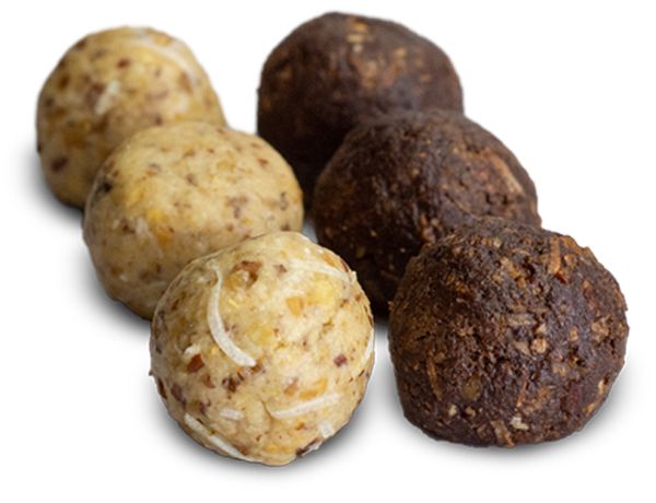 Protein Balls Two Ways recipe from Bulk Nutrients 