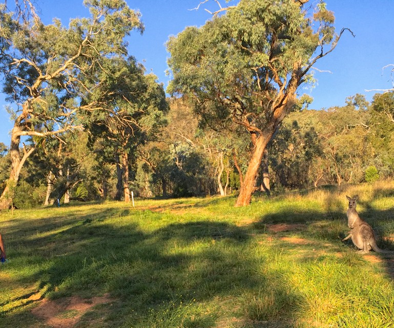 Got The Outdoors? You Got a Gym!