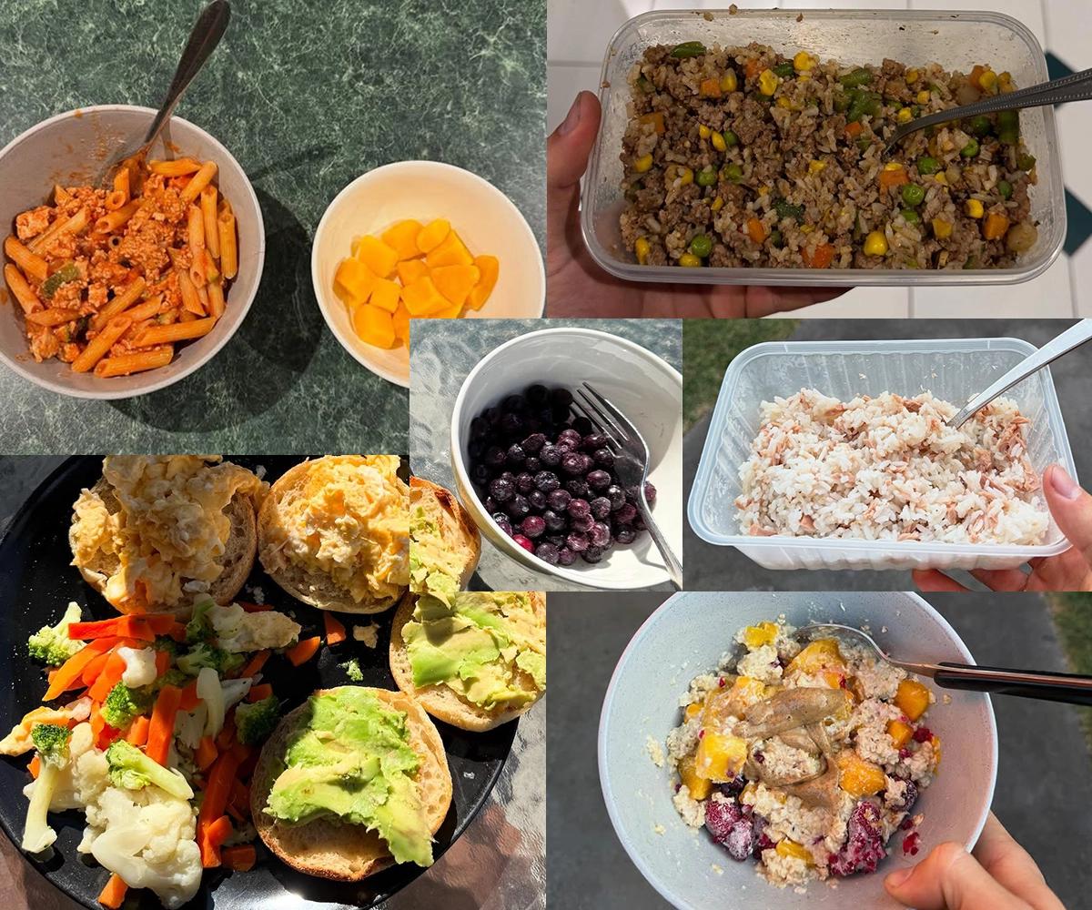 Bulk Nutrients Ambassador Ryan Hoffman food for the day