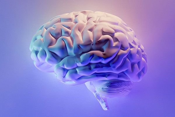 Your brain runs off glucose.