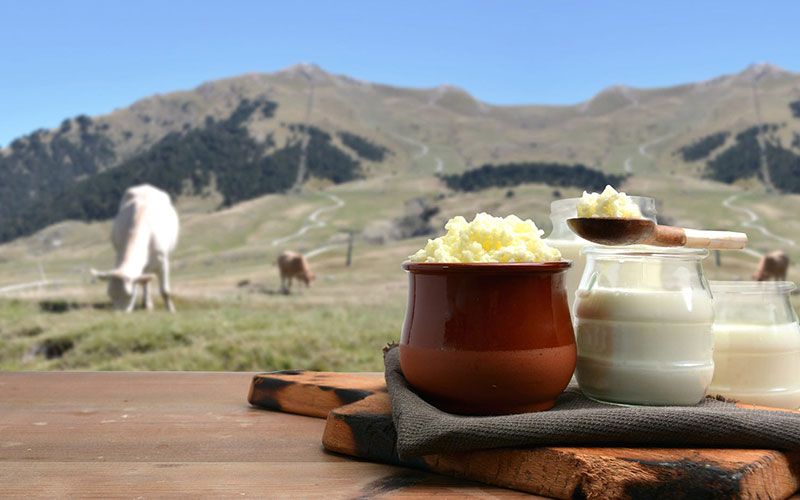 Kefir: This fermented milk drink contains loads of probiotics.