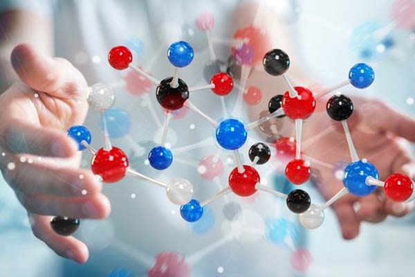 Amino acids are the building blocks of protein, essential to the repair, maintenance, and growth of muscle in the body.