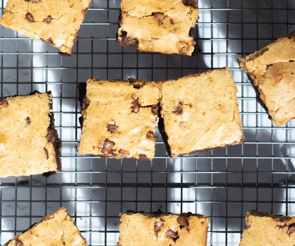 High Protein Double Choc Chips Protein Brownies recipe from Bulk Nutrients