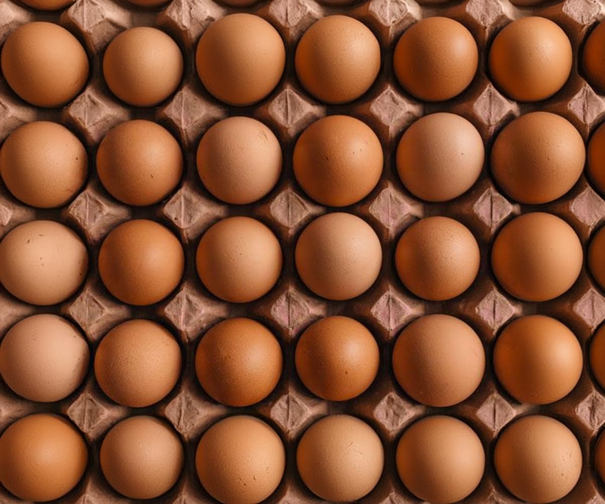 Lots of eggs in a carton