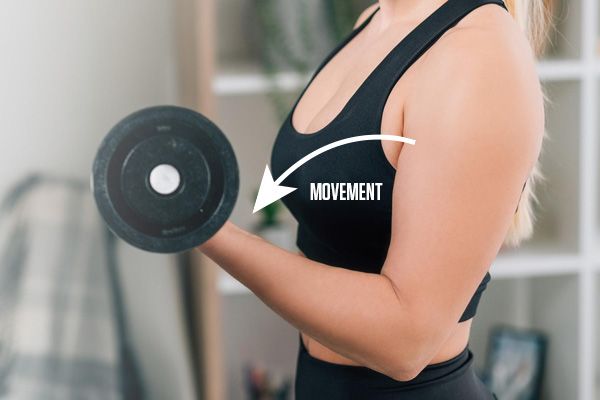 The eccentric bicep curl. The eccentric movement is always on the way down when a lift is being performed.