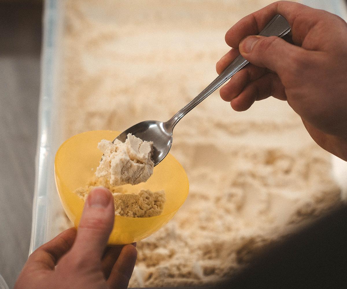 Everything You've Wanted to Know About Our Protein!