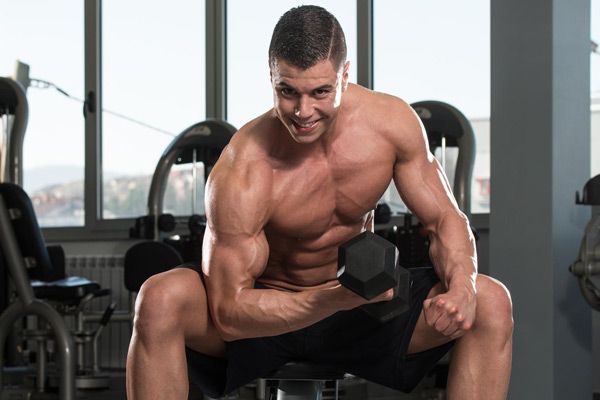 Biceps Dumbbell Concentration Curls