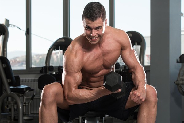 Biceps Dumbbell Concentration Curls