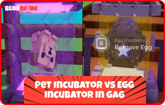 Pet Incubator vs Egg Incubator in GAG