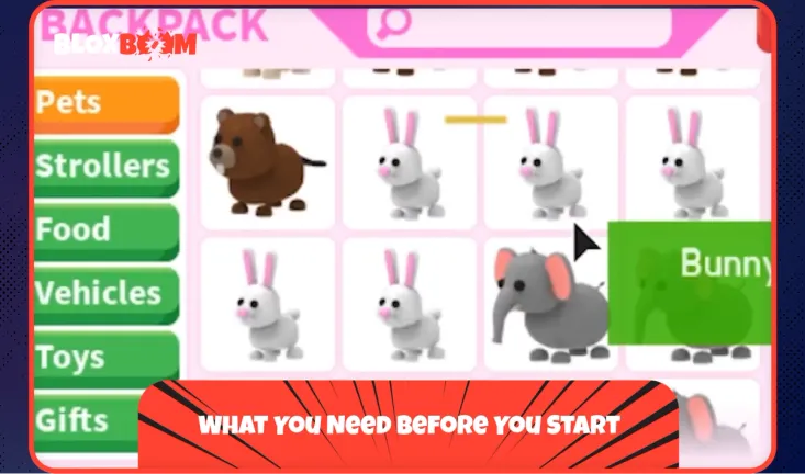 What You Need Before You Start