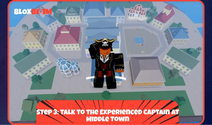 Step 3: Talk to the Experienced Captain at Middle Town
