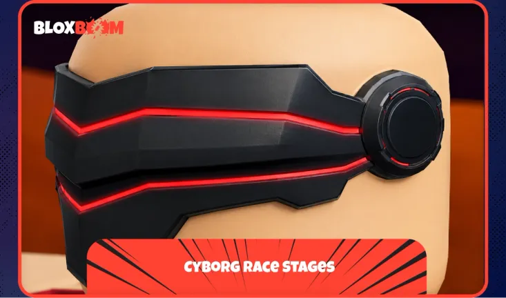Cyborg Race Stages