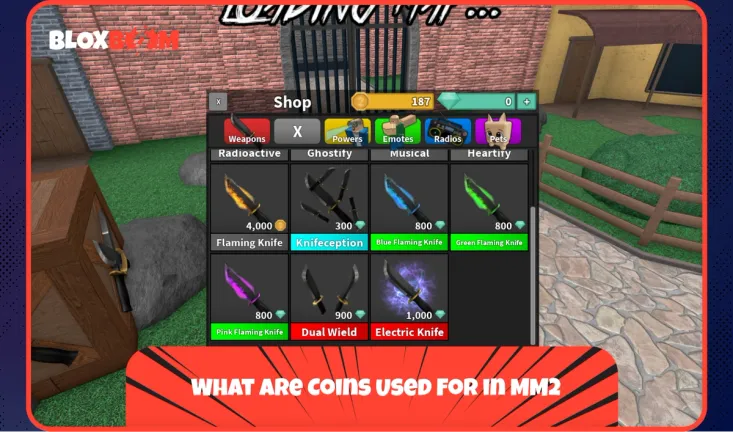 What Are Coins Used For in MM2