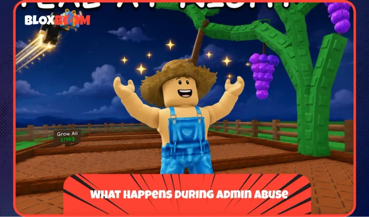 What Happens During Admin Abuse