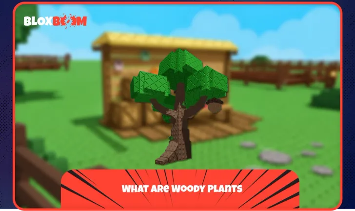 What Are Woody Plants