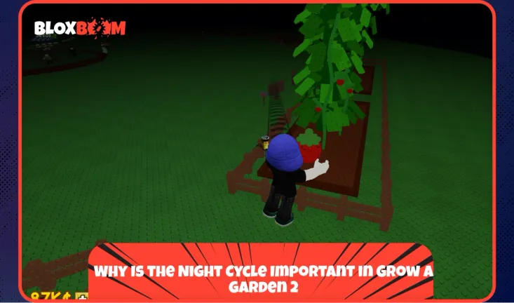 Why Is the Night Cycle Important in Grow a Garden 2