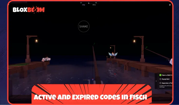 Active and Expired Codes in Fisch